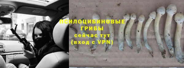 a pvp Дмитриев