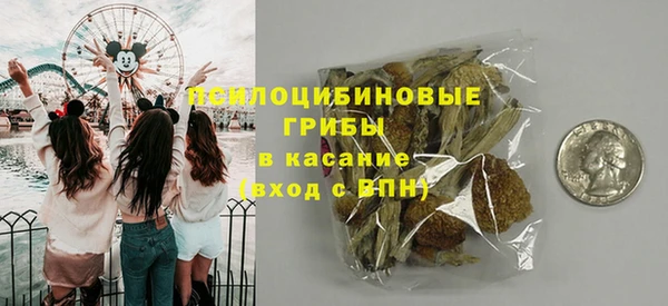 винт Дмитров