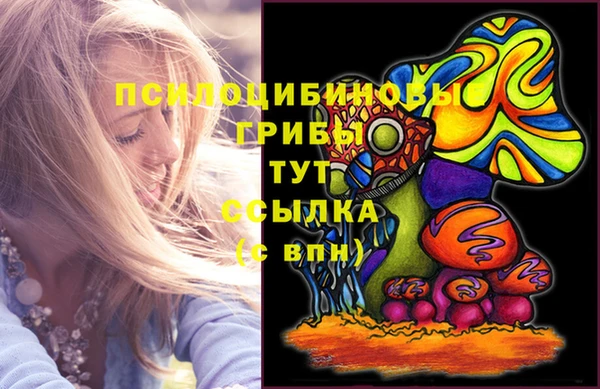 a pvp Дмитриев